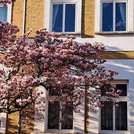Ferienwohnung Rosi Naumburg  Kültér fotó