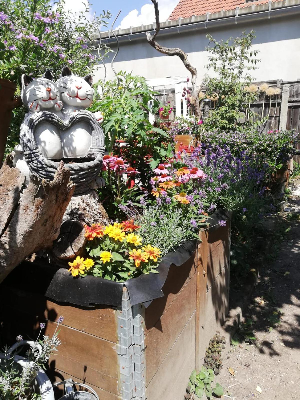 Ferienwohnung Rosi Naumburg  Kültér fotó